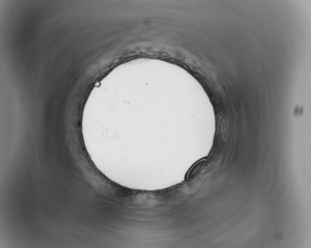 X0000102821489200809151003