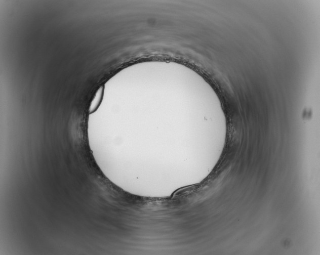 X0000102821490200809151003