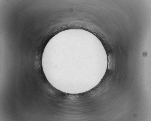 X0000102821491200809151003