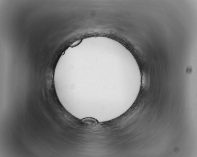 X0000102821492200809151003