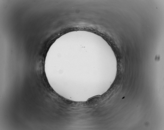 X0000102821493200809151003