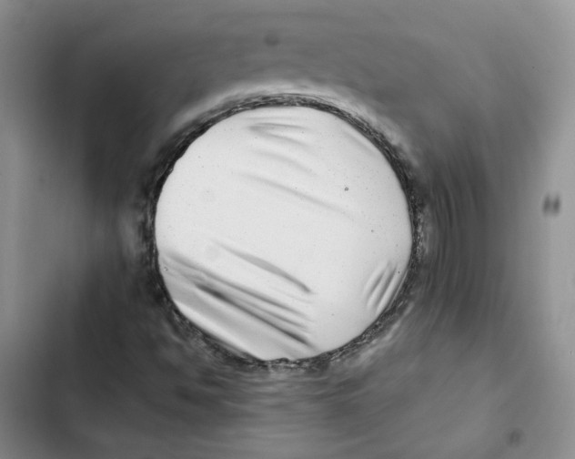 X0000102821494200809151003