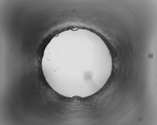 X0000102821495200809151003