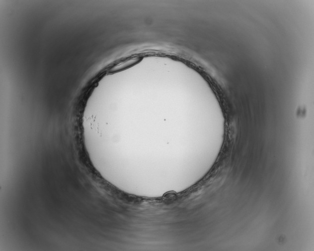 X0000102821496200809151003