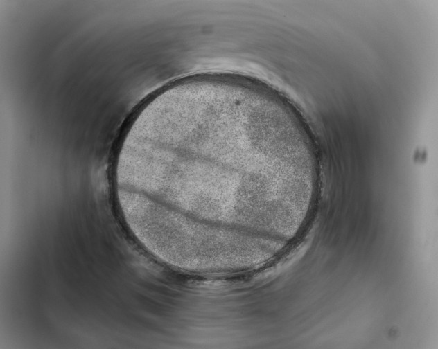 X0000102821497200809151003