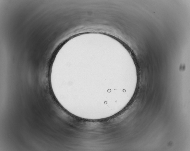 X0000102821498200809151003