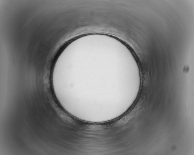 X0000102821499200809151003