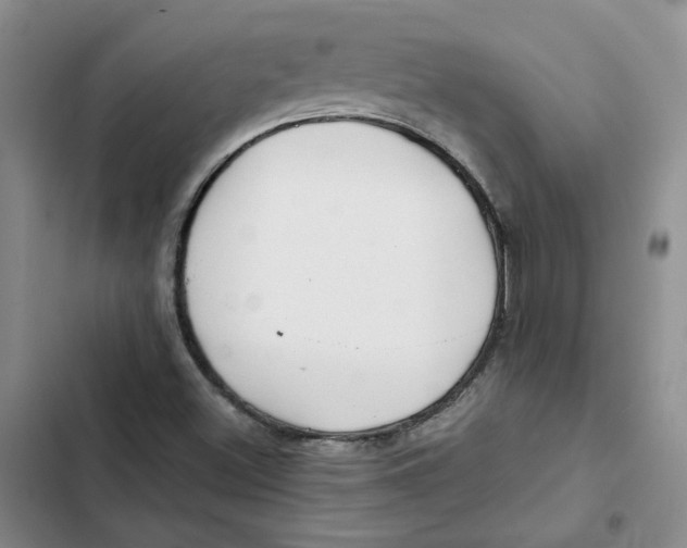 X0000102821500200809151003