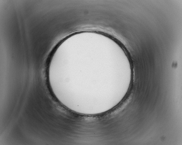 X0000102821501200809151003