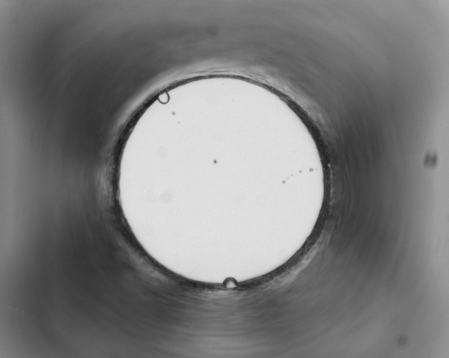 X0000102821502200809151003