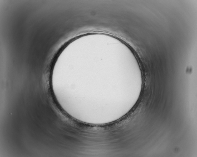 X0000102821503200809151003