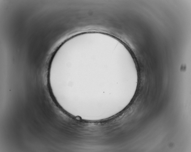 X0000102821504200809151003