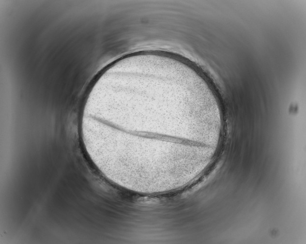 X0000102821505200809151003