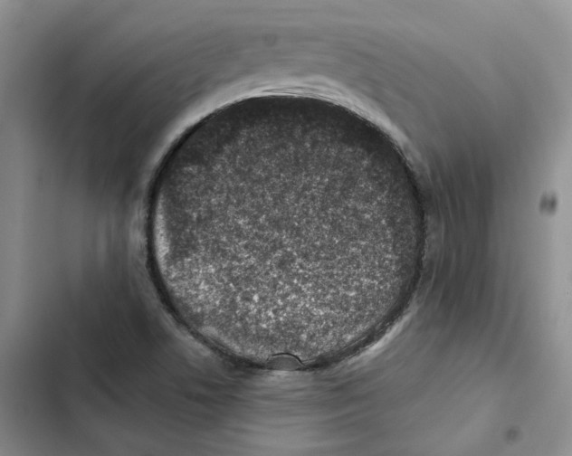 X0000102821506200809151003