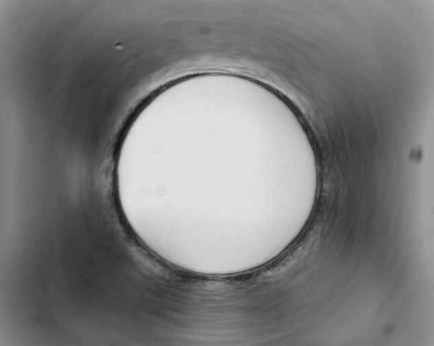 X0000102821507200809151003