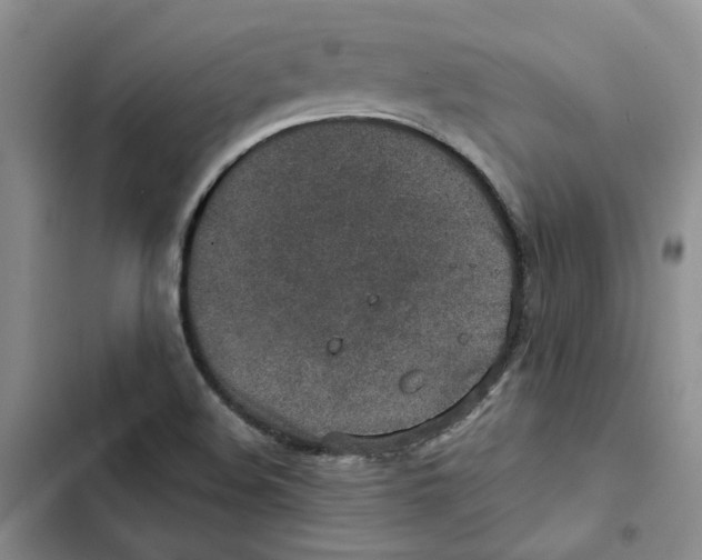 X0000102821508200809151003