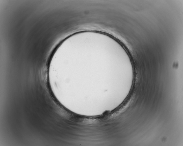 X0000102821509200809151003