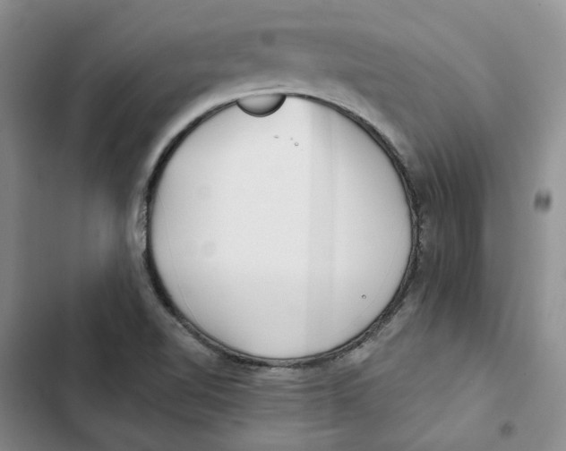 X0000102821510200809151003