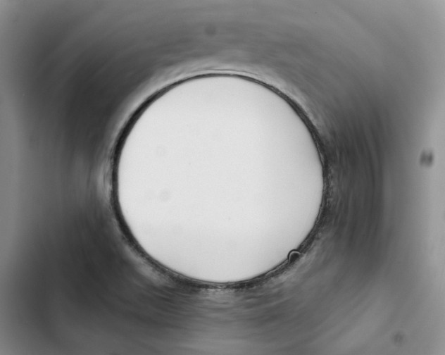 X0000102821511200809151003