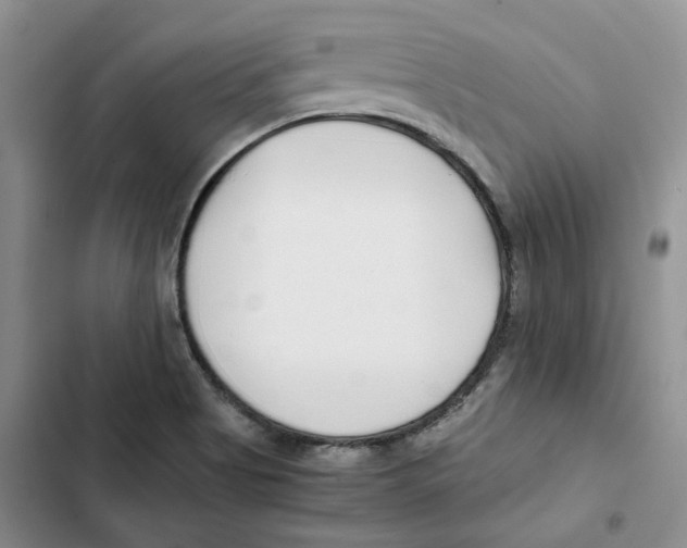 X0000102821513200809151003