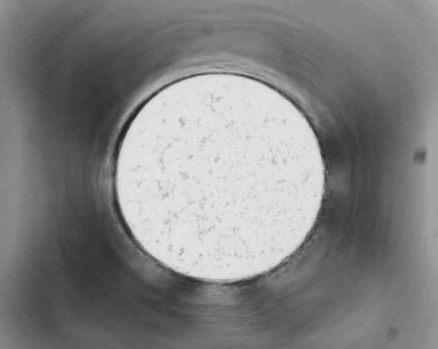 X0000102821514200809151003