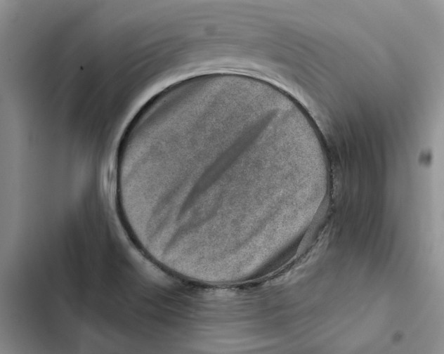 X0000102821515200809151003