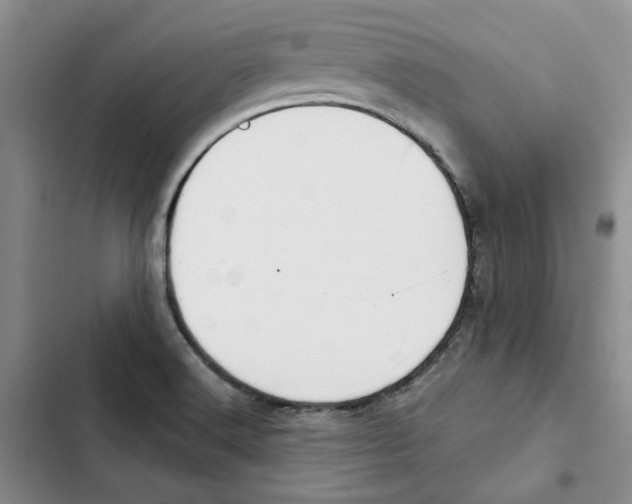 X0000102821516200809151003