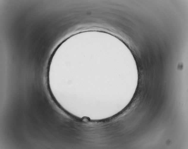 X0000102821518200809151003