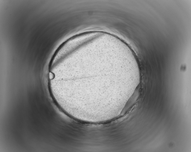 X0000102821519200809151003