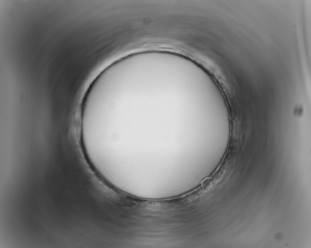 X0000102821520200809151003