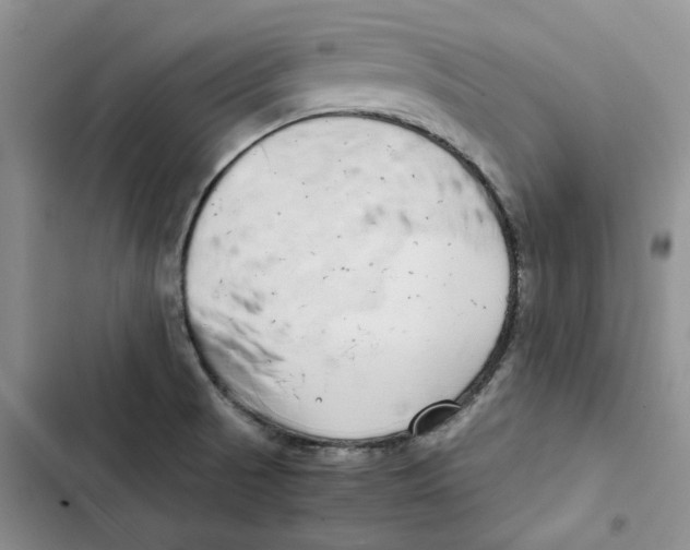 X0000102821521200809151003