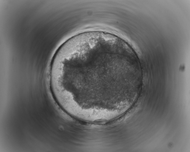 X0000102821522200809151003