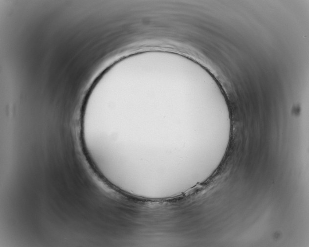 X0000102821523200809151003