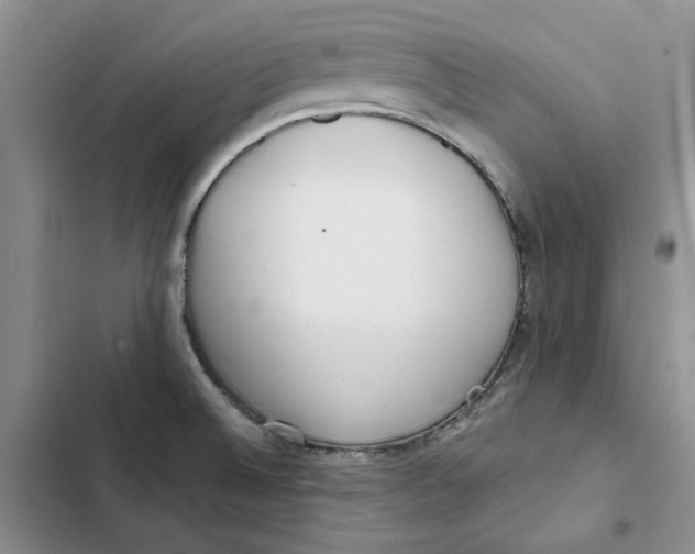 X0000102821524200809151003