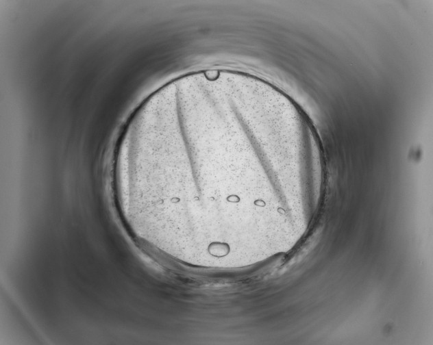 X0000102821525200809151003