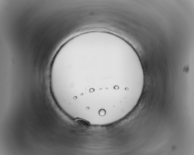 X0000102821526200809151003