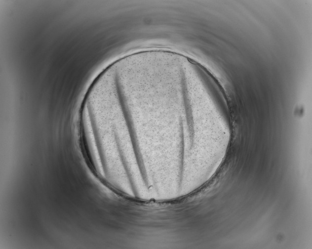 X0000102821527200809151003