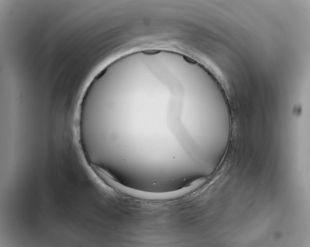 X0000102821528200809151003