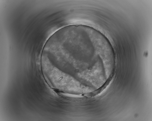 X0000102821529200809151003