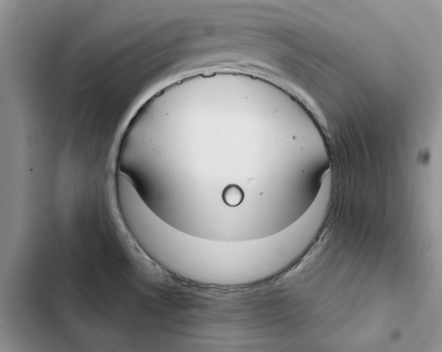 X0000102821530200809151003