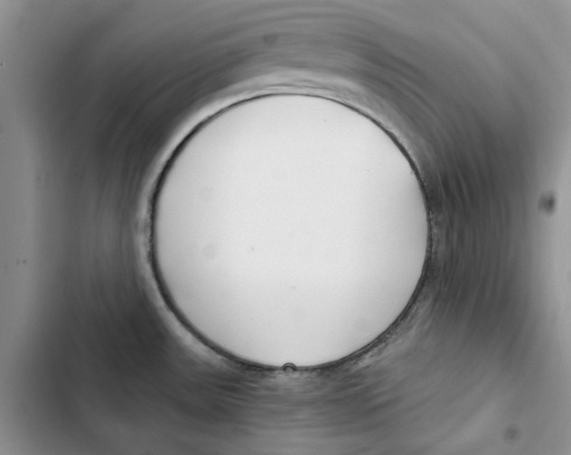 X0000102821531200809151003