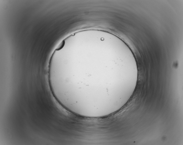 X0000102821532200809151003