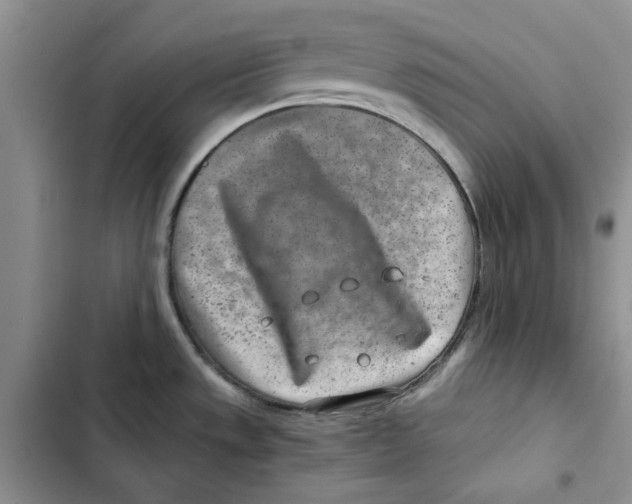 X0000102821533200809151003