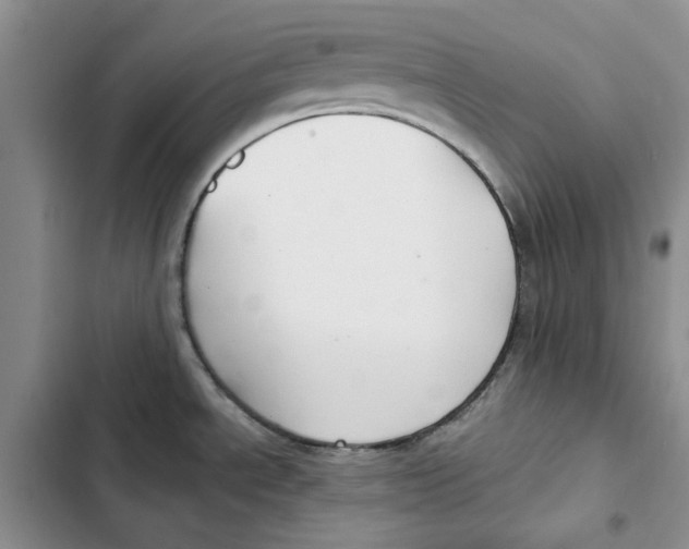 X0000102821534200809151003