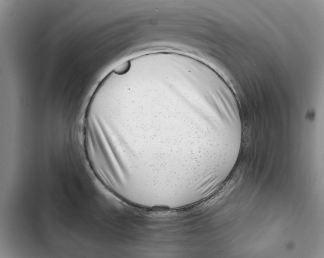 X0000102821535200809151003