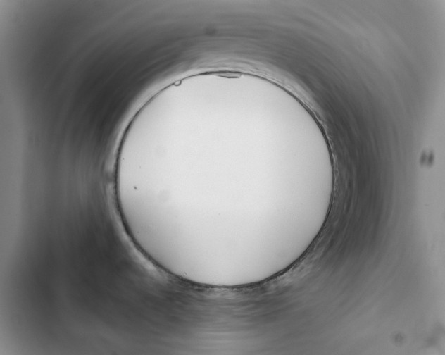 X0000102821536200809151003