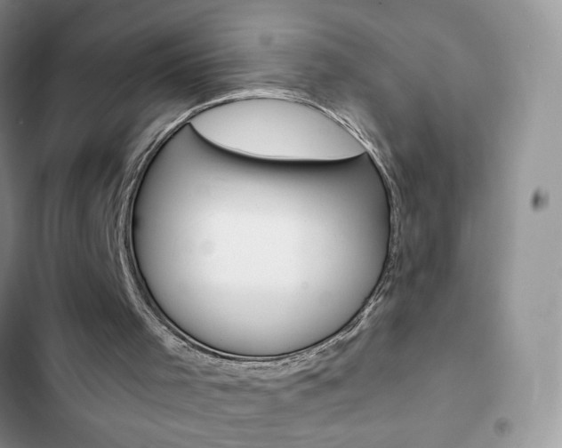 X0000102830001200808181059