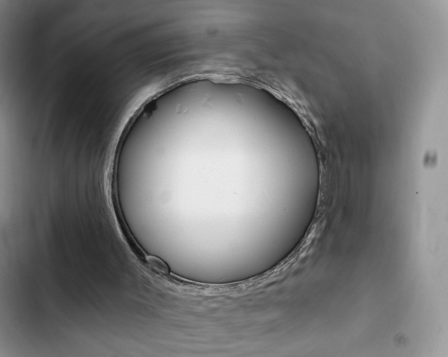X0000102830003200808181059