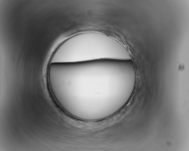 X0000102830006200808181059