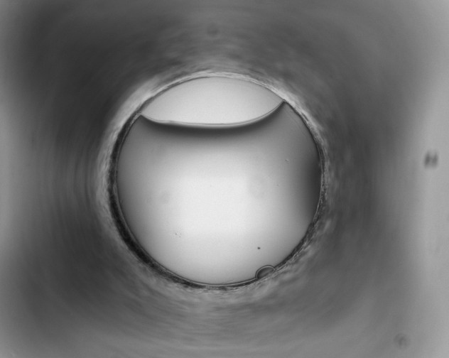 X0000102830007200808181059